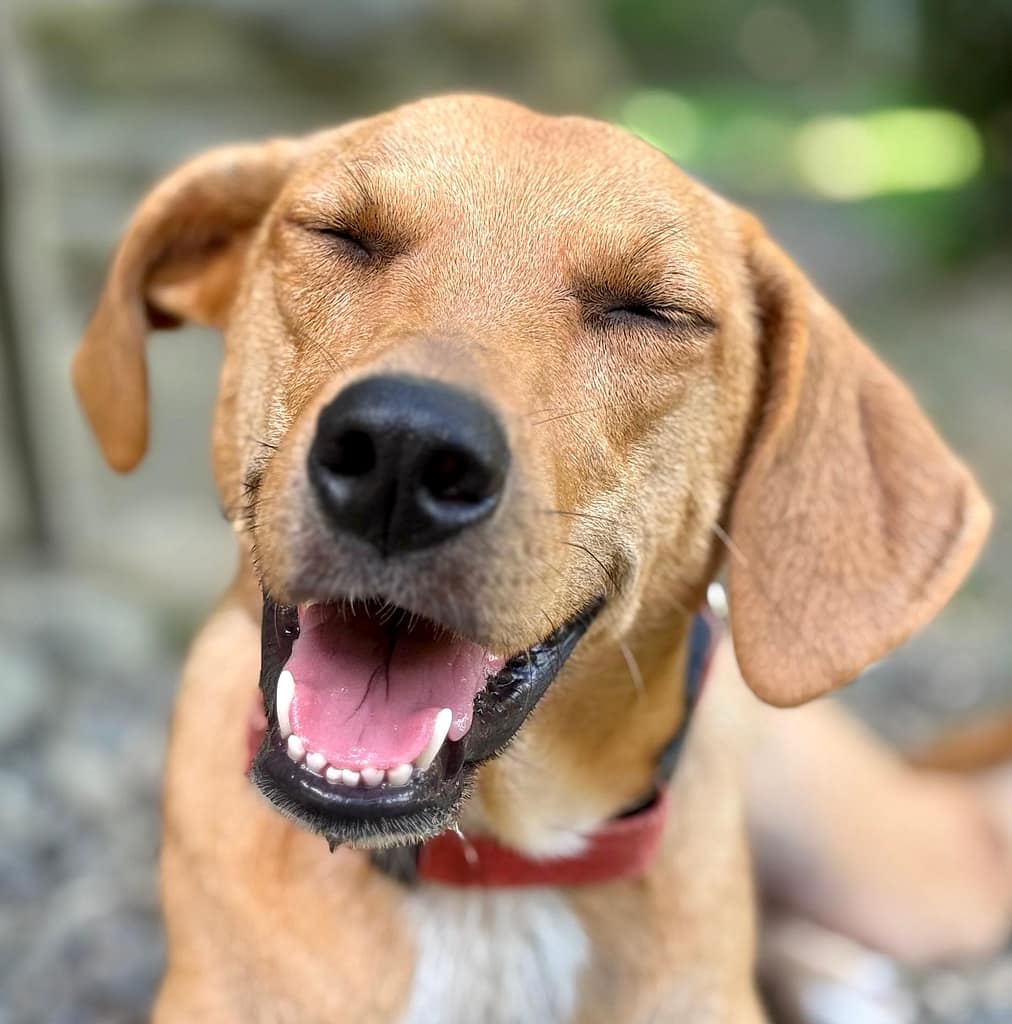 Nila laughing at something funny