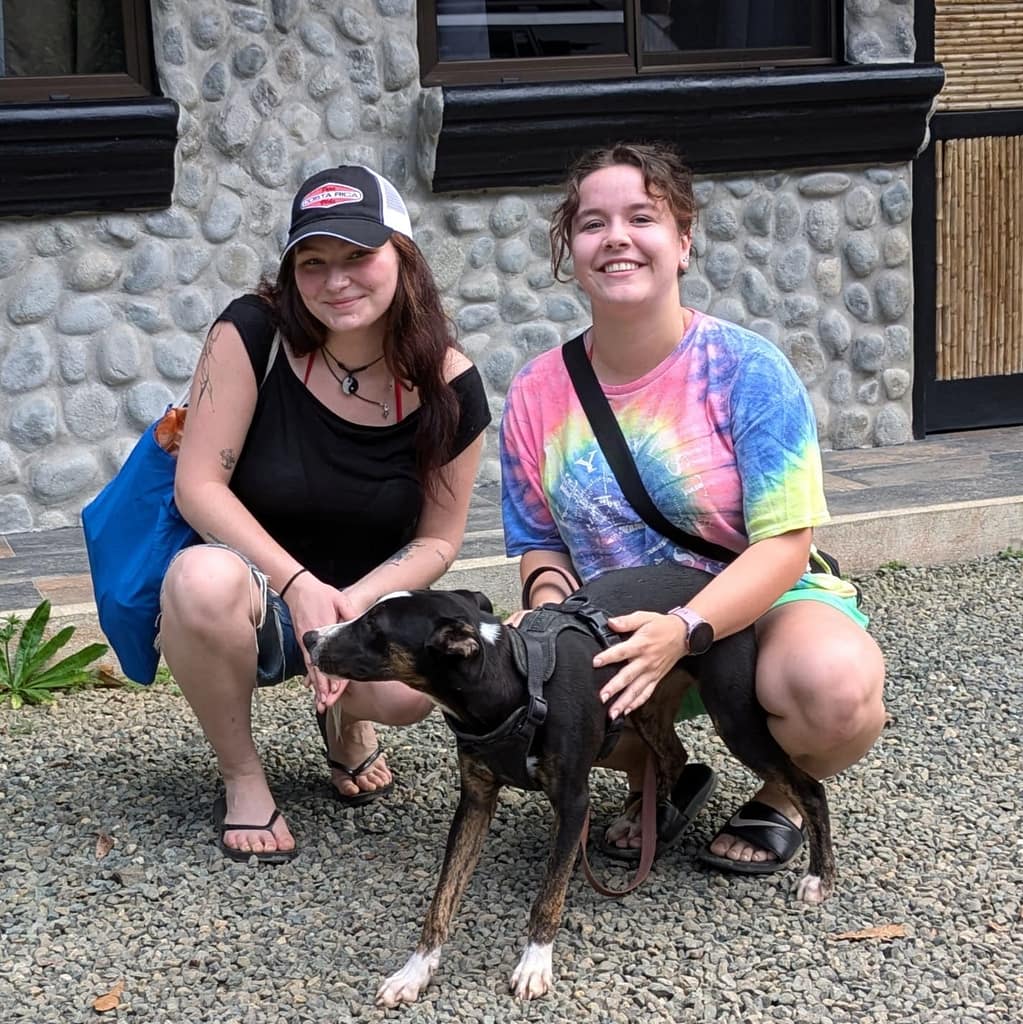 Volunteer in Residence