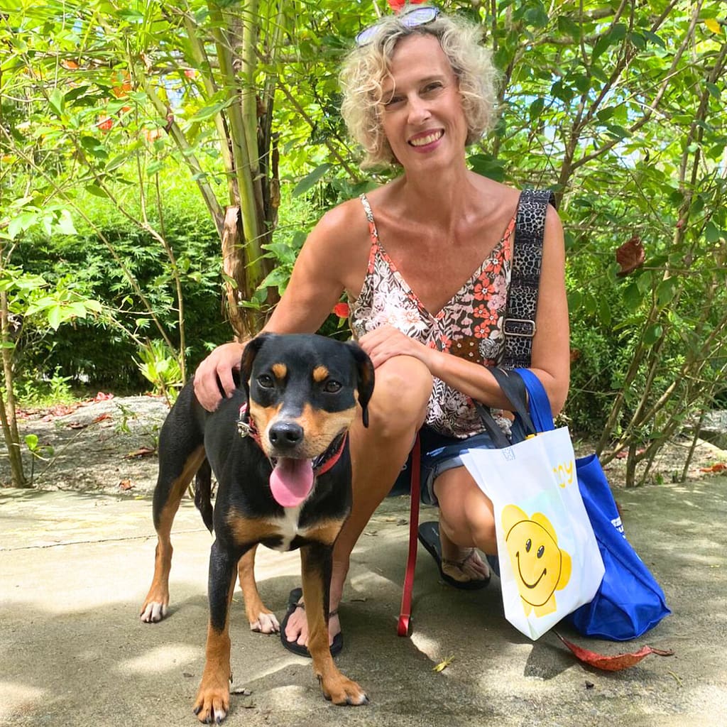 adopt dogs and cats from el refugio costa ballena