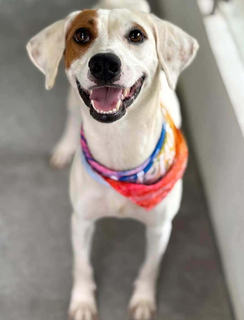 Florencia smiling for the camera