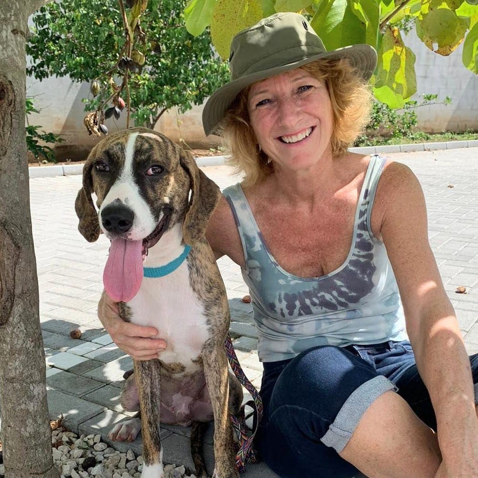 Adopt a dog or cat from El Refugio Costa Ballena